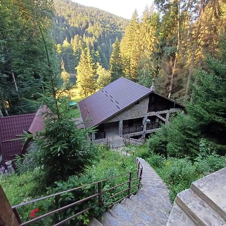 Cabana Zimbru Transfagarasan Arefu Exterior foto