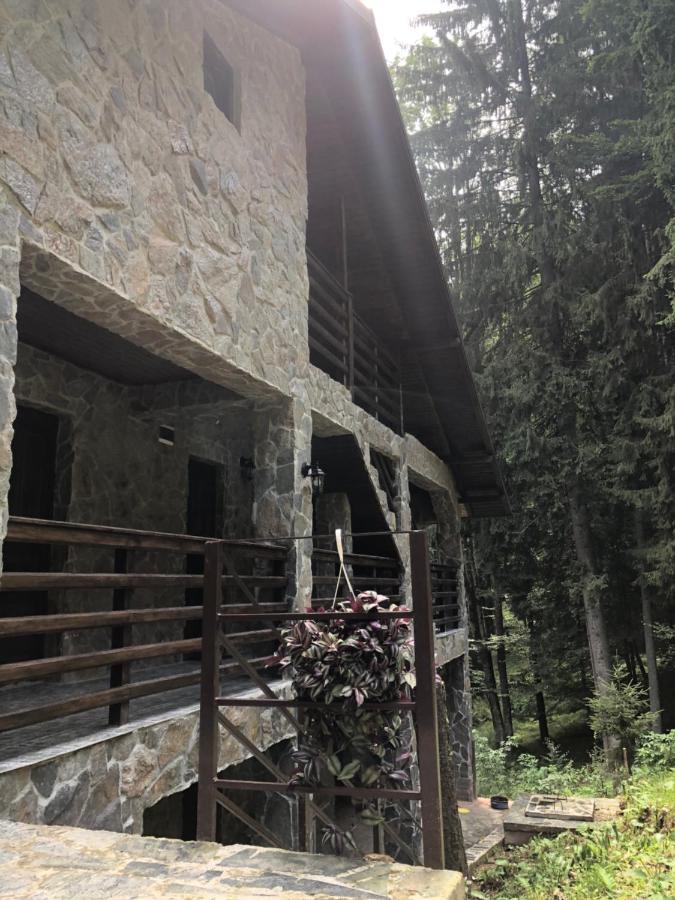 Cabana Zimbru Transfagarasan Arefu Exterior foto
