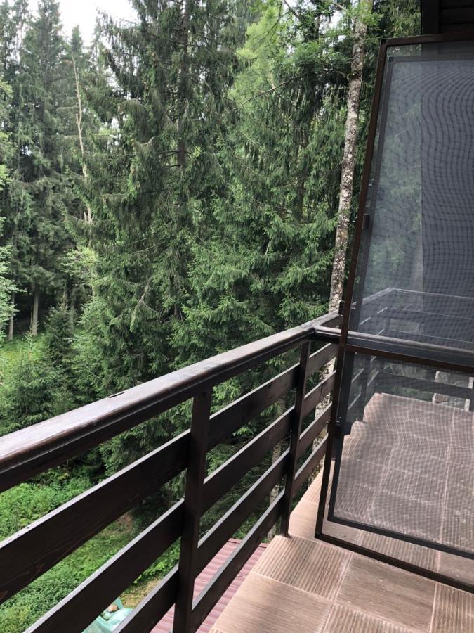 Cabana Zimbru Transfagarasan Arefu Exterior foto