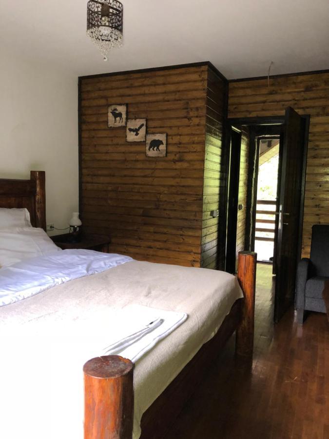 Cabana Zimbru Transfagarasan Arefu Exterior foto