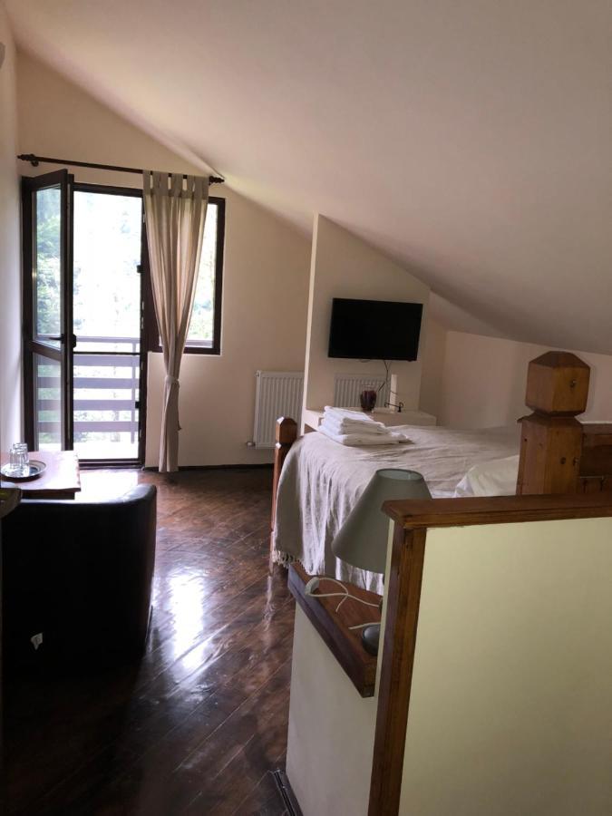 Cabana Zimbru Transfagarasan Arefu Exterior foto
