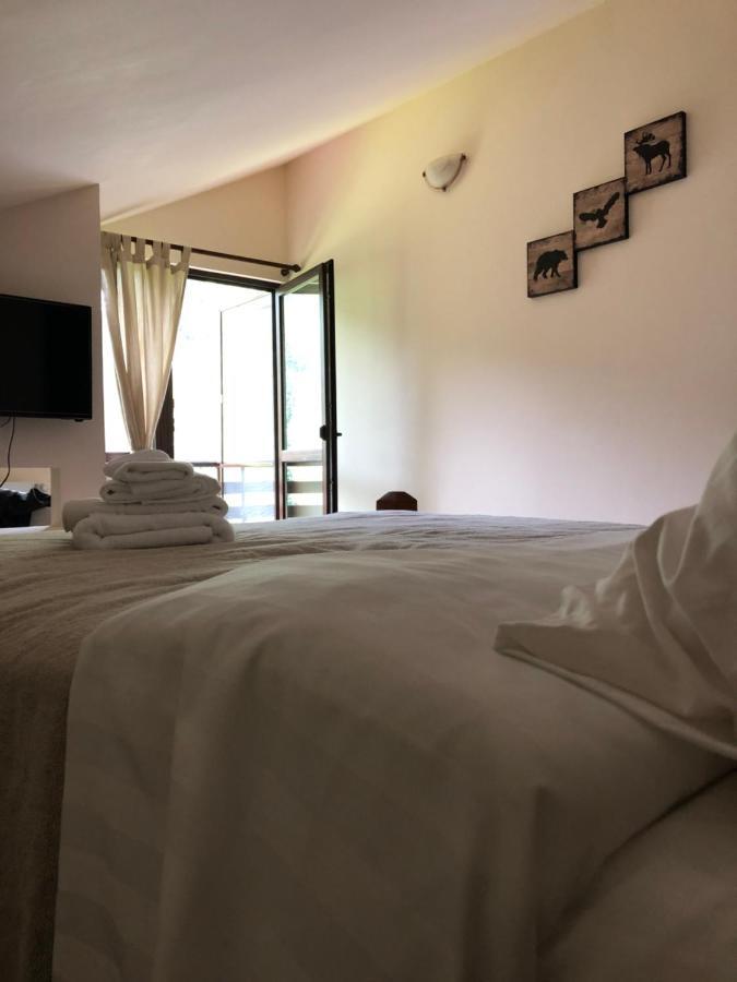 Cabana Zimbru Transfagarasan Arefu Exterior foto