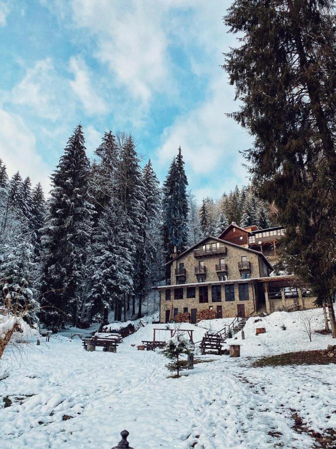 Cabana Zimbru Transfagarasan Arefu Exterior foto
