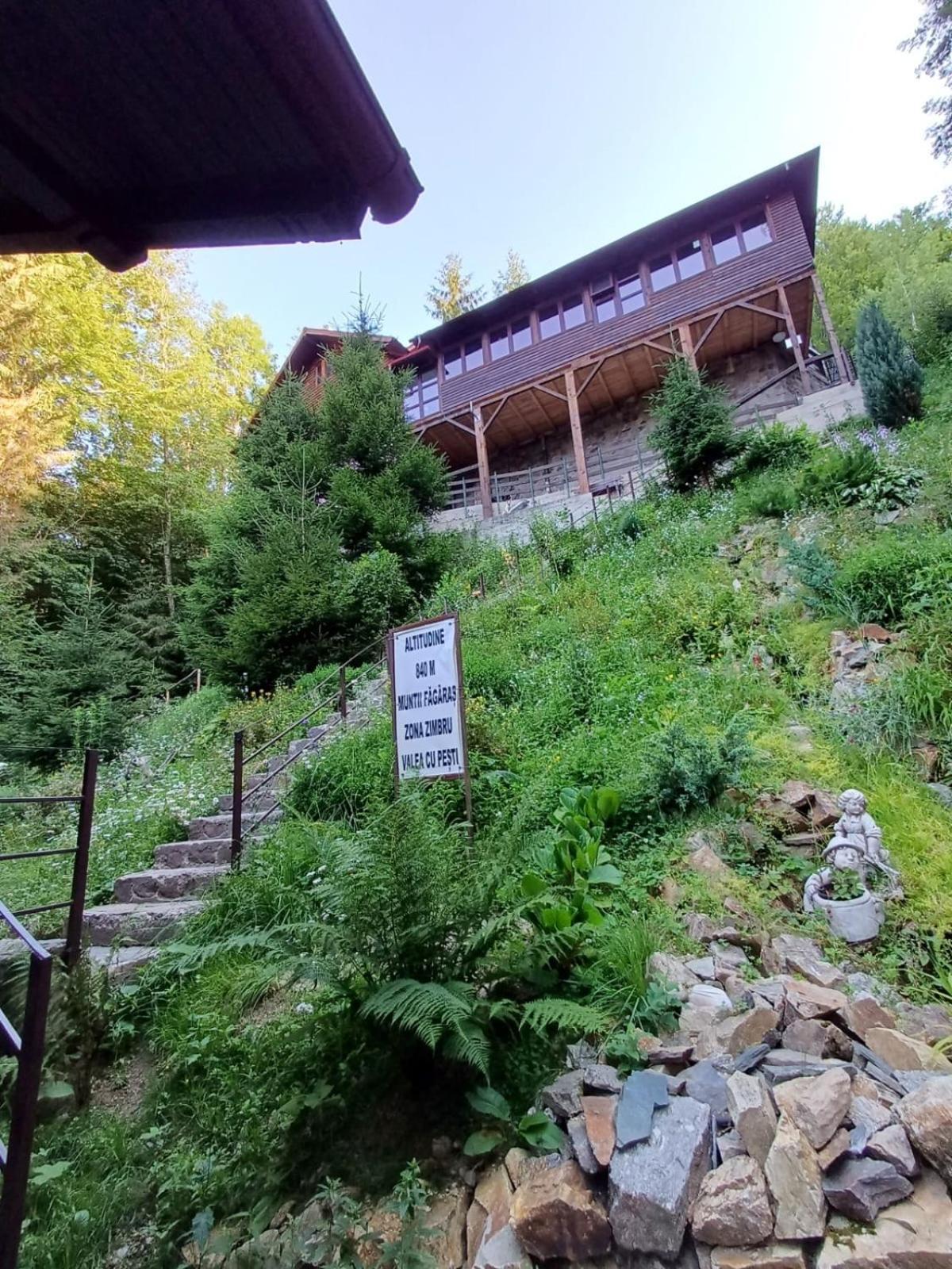 Cabana Zimbru Transfagarasan Arefu Exterior foto